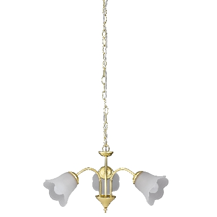 полилей златист  Rafaella